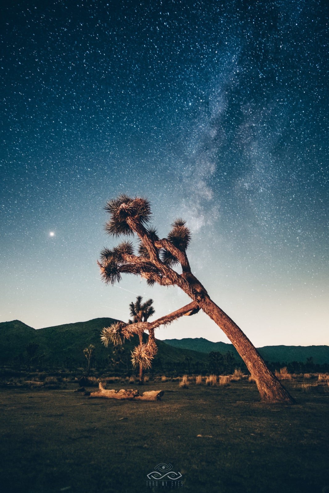 MilkyWay Astrophotography JoshuaTree Desert California