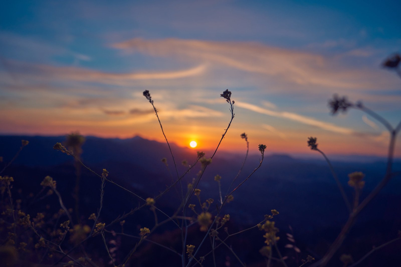 Orange Blue Sunset Landscape Nature