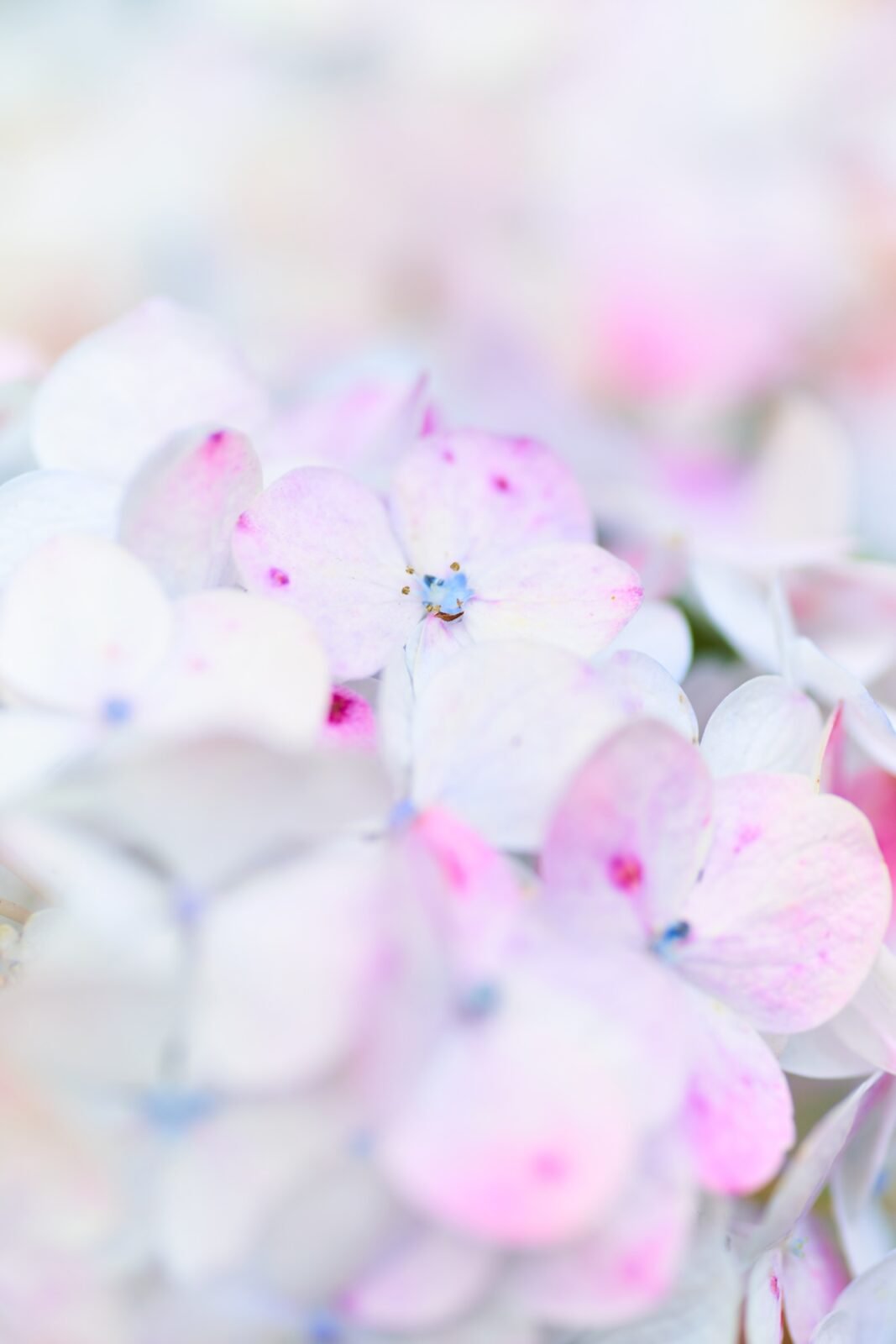 Peru Travel Photography 4